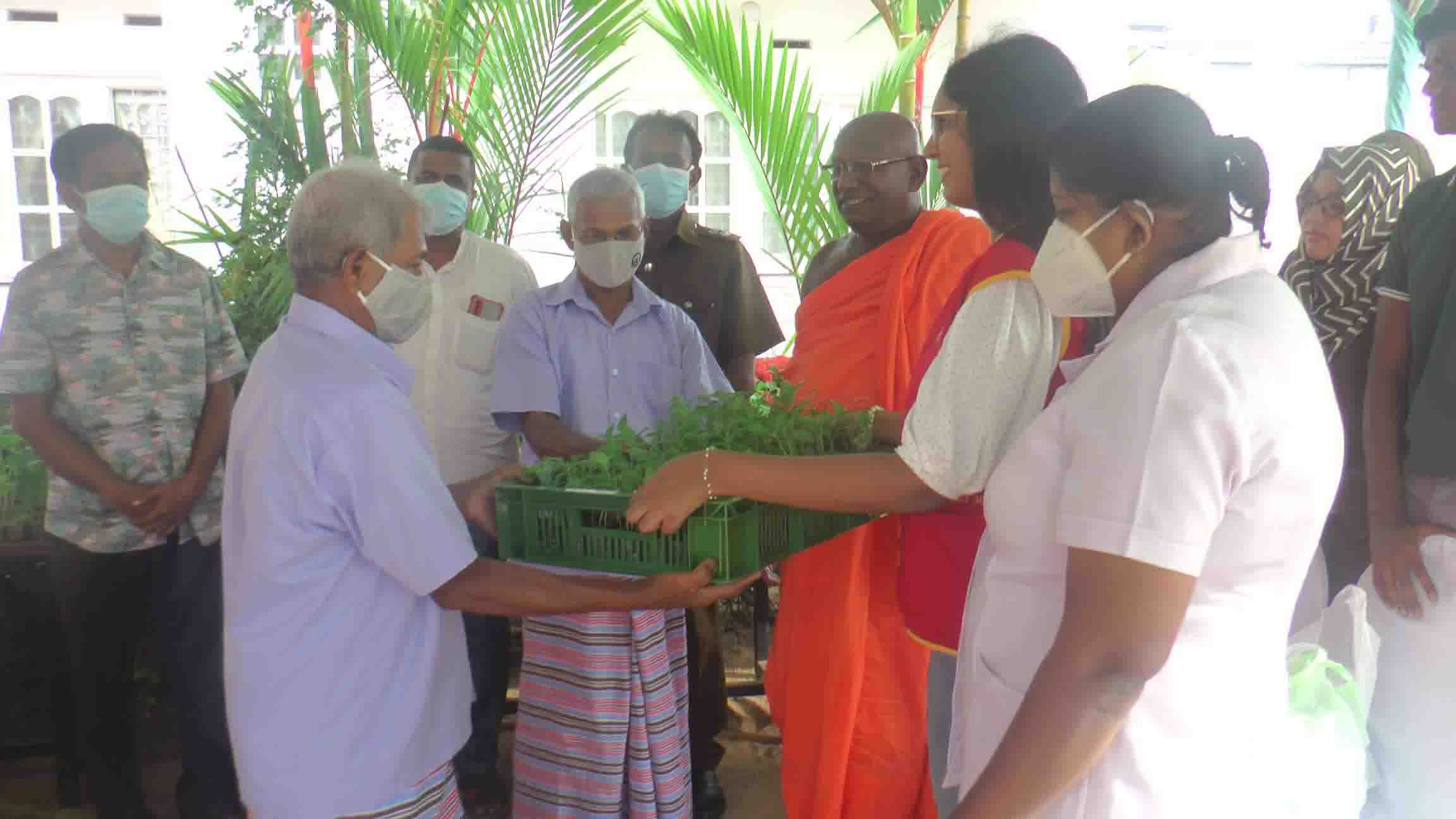 Distribution of vegetable seedlings, seeds, and organic fertilizers under Sahnoda Happy Green Project - Dehiwala